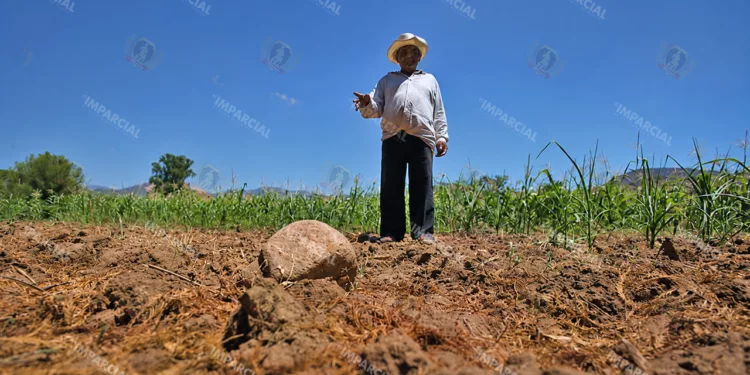 Foto: Archivo El Imparcial – ilustrativa // Las precipitaciones durante la segunda quincena de junio contribuyeron a la disminución de la sequía moderada en territorio nacional.