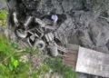 El tractocamión color guinda terminó totalmente destrozado en el fondo del barranco tras salir de la cinta asfáltica en el tramo Concepción Carrizal-Putla de Guerrero.