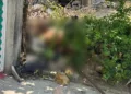El cuerpo de la víctima fue localizado en la vía pública, vistiendo pantalón de mezclilla y calzado en color negro.