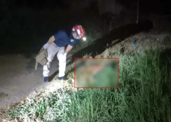 La víctima permanece sin identificar.
