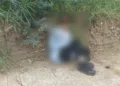 El sujeto dijo llamarse Enrique y que vive en Santa Rosa.