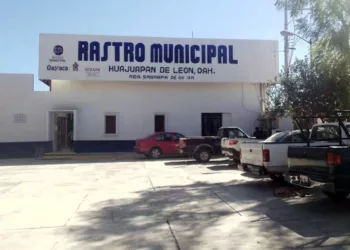 Estos residuos representan un problema para la calidad del agua debido a su elevada carga orgánica.