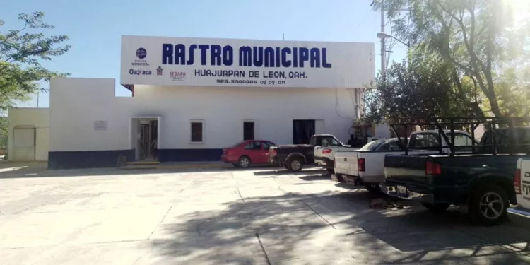 Estos residuos representan un problema para la calidad del agua debido a su elevada carga orgánica.