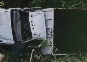 La camioneta Ford F-150 quedó severamente dañada tras salir de la carretera federal 175, en el tramo Valle Nacional-Puerto Eligio.