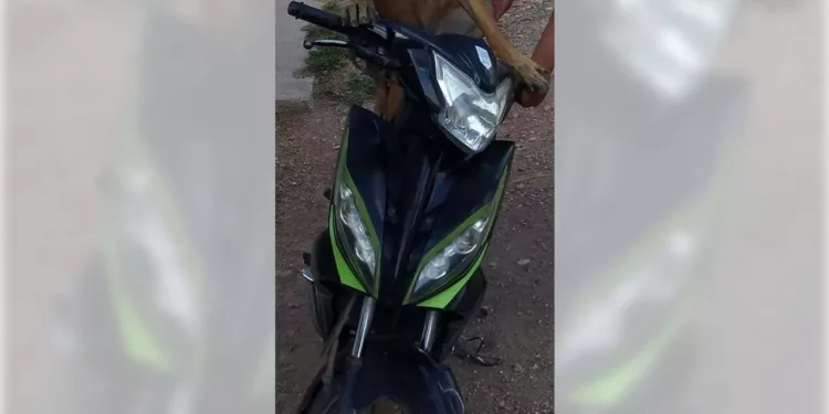Le roban su motocicleta en el centro de Huajuapan.