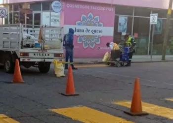 Personal técnico ejecuta trabajos de balizamiento, pinta y renovación de pasos peatonales.