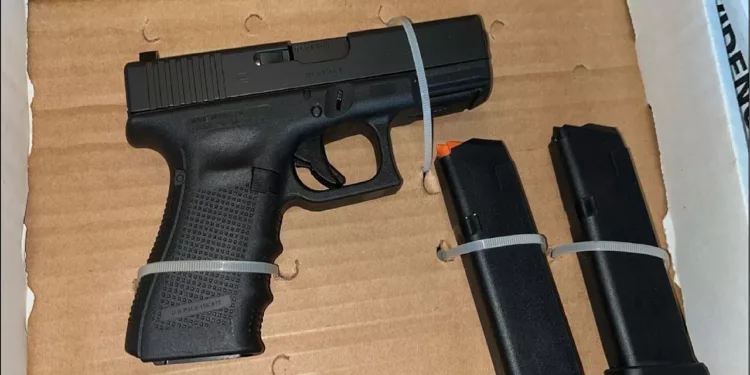 Armas cortas y largas son exhibidas en catálogos virtuales con total impunidad.