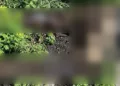 Autoridades ministeriales investigan el asesinato de un hombre de aproximadamente 30 años.