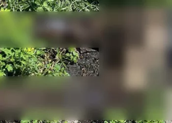 Autoridades ministeriales investigan el asesinato de un hombre de aproximadamente 30 años.