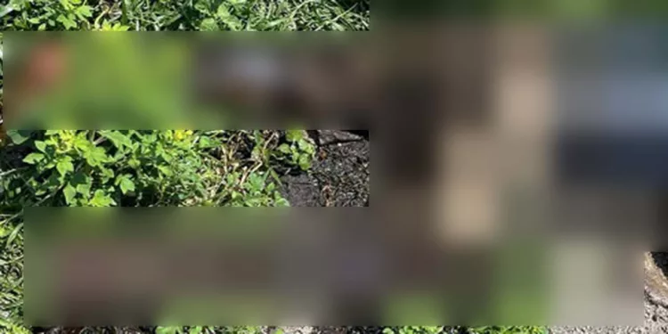 Autoridades ministeriales investigan el asesinato de un hombre de aproximadamente 30 años.