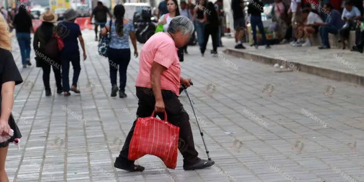 Foto: Adrián Gaytán // Desde 1983 en México se instauró el 28 de agosto como el Día de los Abuelos.
