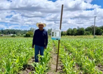 Foto: Gobierno de Oaxaca // Asegura el gobierno que hay autosuficiencia alimentaria.