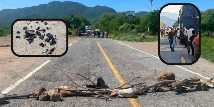 Playa contaminada y carretera bloqueada: pescadores paralizan la vía Salina Cruz-Huatulco