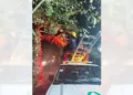 Bomberos y Protección Civil neutralizaron los panales en la agencia La Junta.