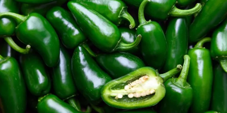 ¡Se enchilan los vecinos! EE. UU. responsabiliza a chiles mexicanos por brote de salmonela
