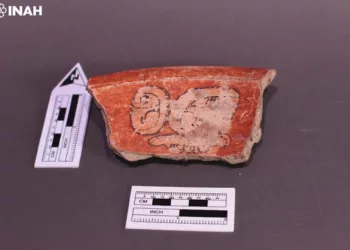 Constituye un ejemplo de cooperación académica, ética, profesional y de diplomacia cultural para la protección del patrimonio.