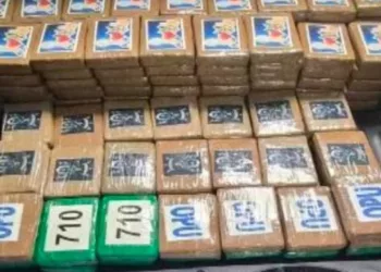 VIDEO | Frustran traslado de 217 kilos de cocaína; la droga viajaba escondida en un compartimento secreto