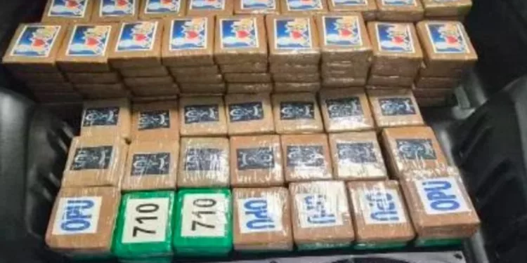 VIDEO | Frustran traslado de 217 kilos de cocaína; la droga viajaba escondida en un compartimento secreto