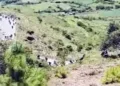 El temor a sufrir una agresión armada mantiene las parcelas completamente abandonadas.