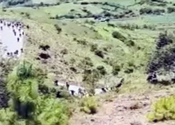 El temor a sufrir una agresión armada mantiene las parcelas completamente abandonadas.