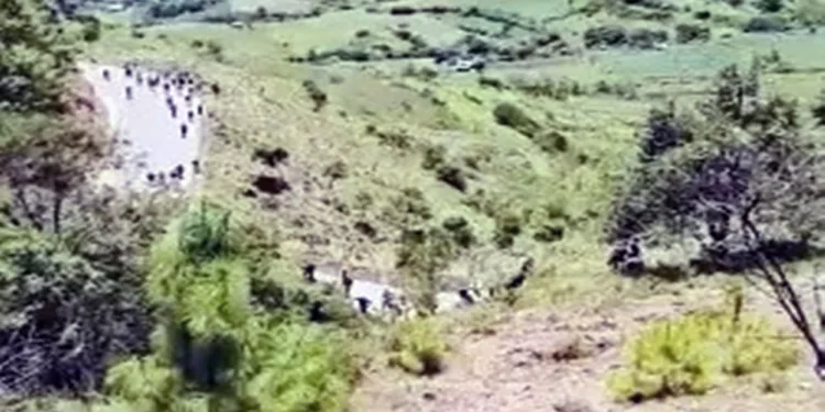 El temor a sufrir una agresión armada mantiene las parcelas completamente abandonadas.