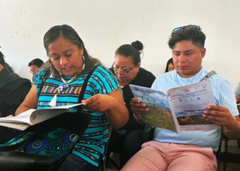 Rechaza CNTE consulta electrónica de SEP