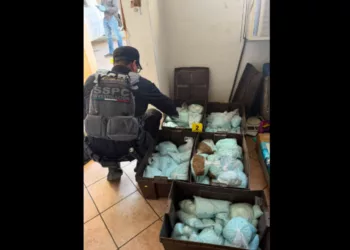 VIDEO | Golpe millonario al narco: decomisan 120 kilos de fentanilo en Mexicali