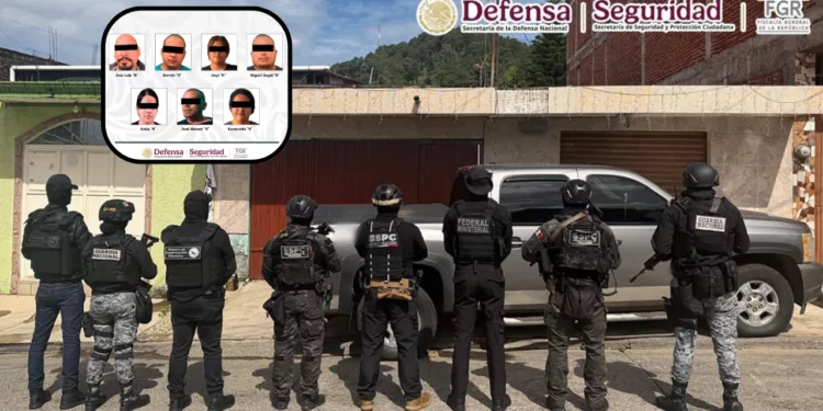 ¡Golpe al cobro de piso! Caen 12 presuntos templarios que aterrorizaban al campo michoacano