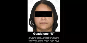 ¡Se cierra el cerco! Cae otra presunta operadora del “huachicol fiscal” ligado a Ruffo Appel