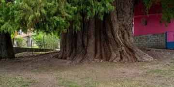 Habitantes de la comunidad buscan que continúe siendo preservado como patrimonio natural.