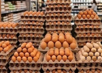 Alerta por Salmonella: FDA retira 19 millones de huevos de la venta