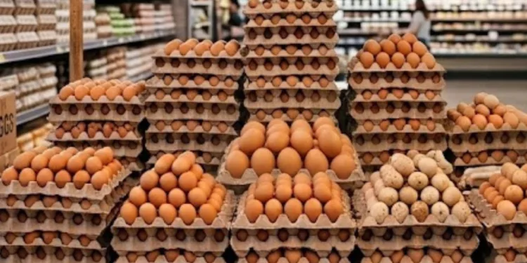 Alerta por Salmonella: FDA retira 19 millones de huevos de la venta