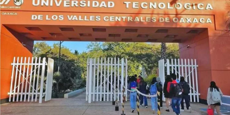 Jóvenes en México 2026: 80% quiere estudiar, pero la falta de dinero y empleo los alejan de las aulas