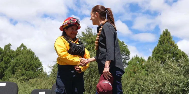La presidenta Claudia Sheinbaum Pardo firmó el decreto del Día Nacional de la Reforestación.
