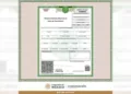 La autenticidad de estos documentos se acreditará mediante código QR, firma electrónica o sello digital.