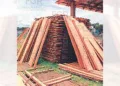 Foto: Profepa // La madera incautada en Tlaxiaco.