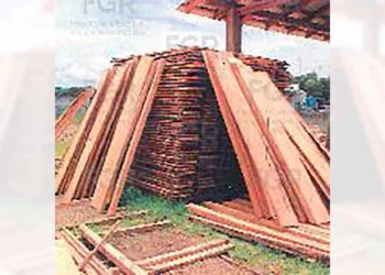 Foto: Profepa // La madera incautada en Tlaxiaco.