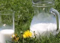 Leche de vaca: Beneficios para los huesos y la guía de precios de Profeco