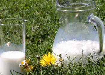 Leche de vaca: Beneficios para los huesos y la guía de precios de Profeco