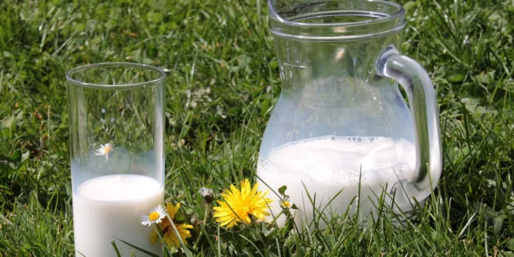Leche de vaca: Beneficios para los huesos y la guía de precios de Profeco