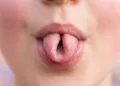 ¿Doblar la lengua en “taquito” te hace más inteligente? Lo que dice la ciencia sobre este mito