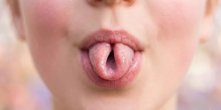 ¿Doblar la lengua en “taquito” te hace más inteligente? Lo que dice la ciencia sobre este mito
