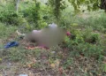 “La desobediencia cuesta la vida”: hallan a dos hombres asesinados junto a panteón en Tapanatepec