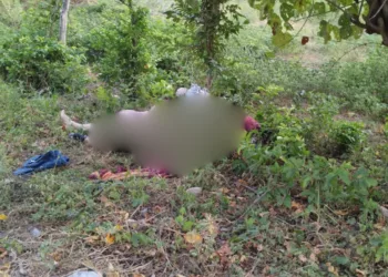 “La desobediencia cuesta la vida”: hallan a dos hombres asesinados junto a panteón en Tapanatepec
