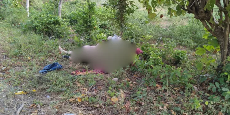 “La desobediencia cuesta la vida”: hallan a dos hombres asesinados junto a panteón en Tapanatepec