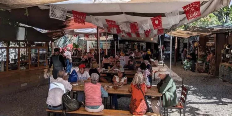 Foto: redes sociales // Mercado Orgánico La cosecha, asaltado el fin de semana.