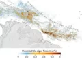 Alerta de la NASA: Expansión del Sargazo alcanza récord en el Caribe y el Golfo de México en 2026