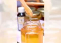 Oaxaca, Chiapas, Veracruz y Quintana Roo son las entidades con el mayor número de especies de abejas.