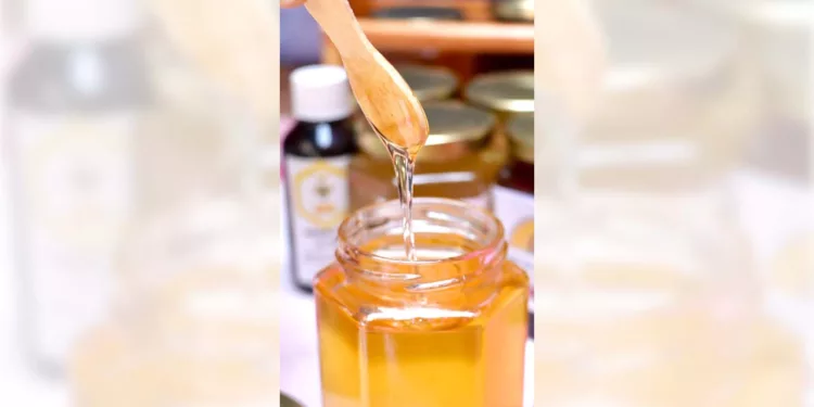 Oaxaca, Chiapas, Veracruz y Quintana Roo son las entidades con el mayor número de especies de abejas.