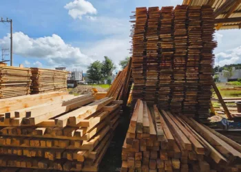 Personal de la Profepa localizó 2,416 piezas de madera labrada de pino, entre tablas, barrotes, polines y vigas.